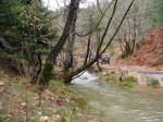 DSC00555
